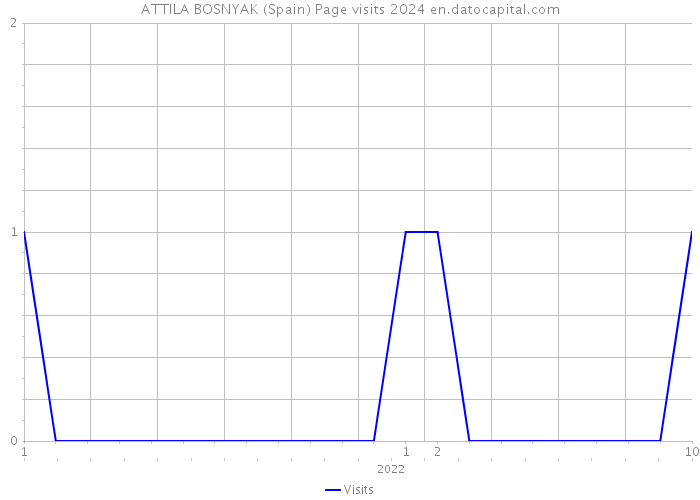 ATTILA BOSNYAK (Spain) Page visits 2024 
