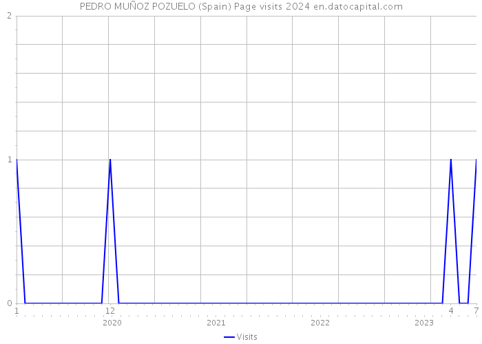 PEDRO MUÑOZ POZUELO (Spain) Page visits 2024 