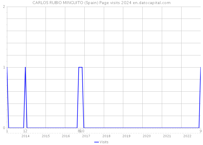 CARLOS RUBIO MINGUITO (Spain) Page visits 2024 