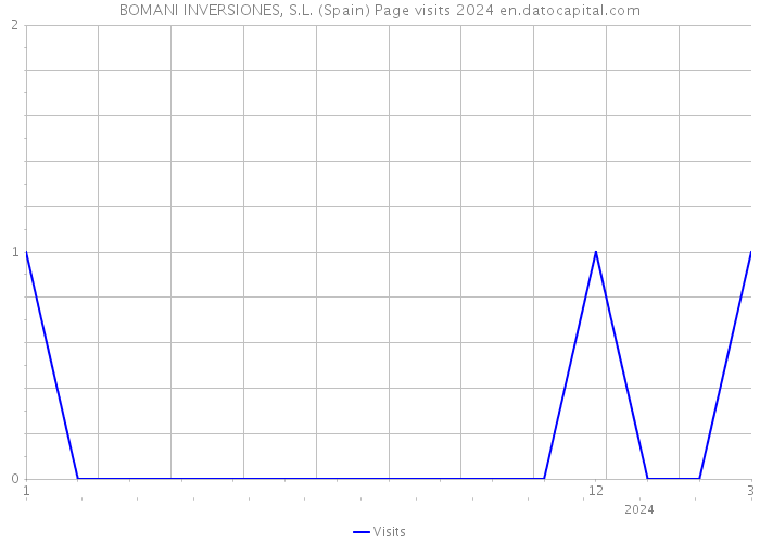 BOMANI INVERSIONES, S.L. (Spain) Page visits 2024 