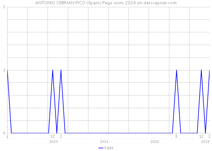 ANTONIO CEBRIAN PICO (Spain) Page visits 2024 
