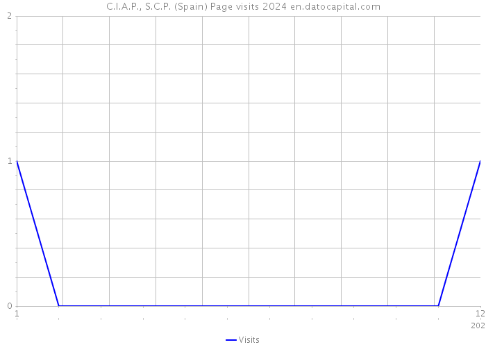C.I.A.P., S.C.P. (Spain) Page visits 2024 