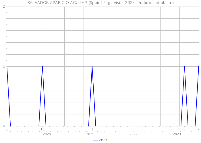 SALVADOR APARICIO AGUILAR (Spain) Page visits 2024 