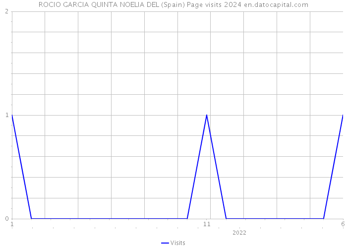 ROCIO GARCIA QUINTA NOELIA DEL (Spain) Page visits 2024 
