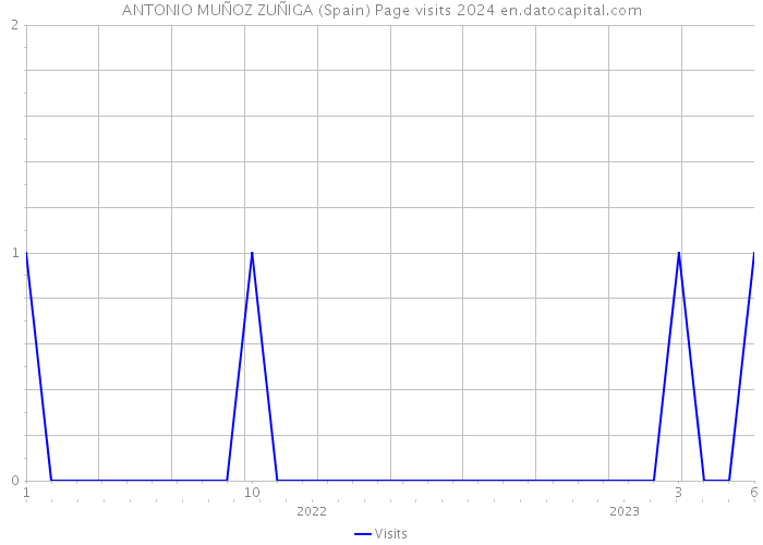 ANTONIO MUÑOZ ZUÑIGA (Spain) Page visits 2024 