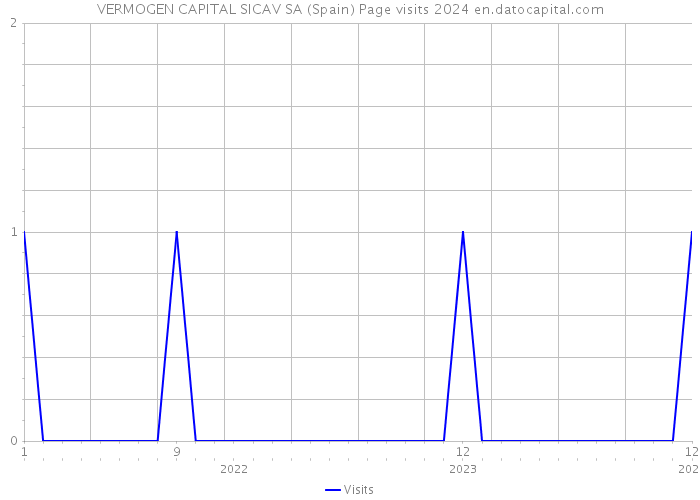 VERMOGEN CAPITAL SICAV SA (Spain) Page visits 2024 