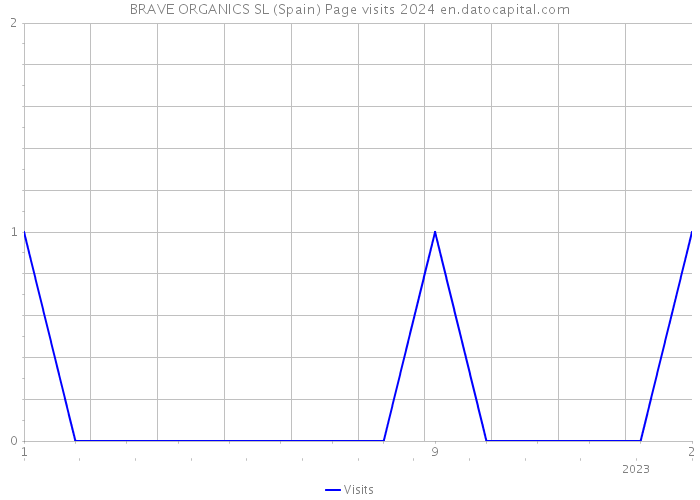 BRAVE ORGANICS SL (Spain) Page visits 2024 