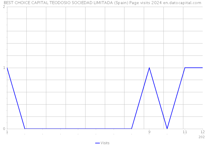 BEST CHOICE CAPITAL TEODOSIO SOCIEDAD LIMITADA (Spain) Page visits 2024 