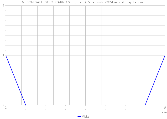 MESON GALLEGO O`CARRO S.L. (Spain) Page visits 2024 