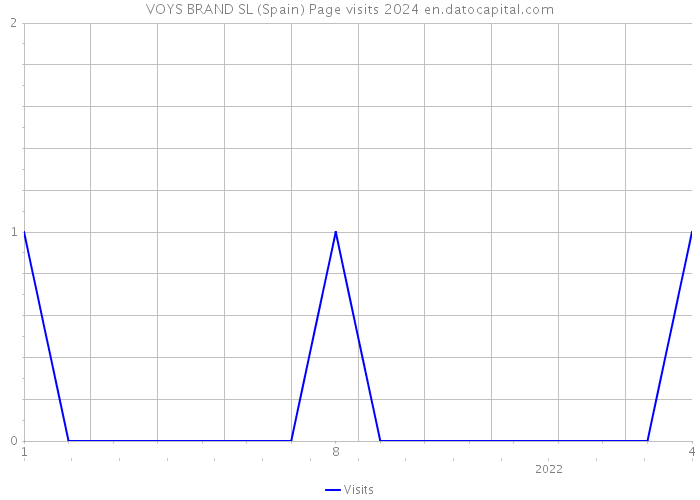 VOYS BRAND SL (Spain) Page visits 2024 