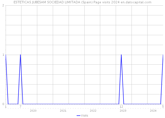 ESTETICAS JUBESAM SOCIEDAD LIMITADA (Spain) Page visits 2024 