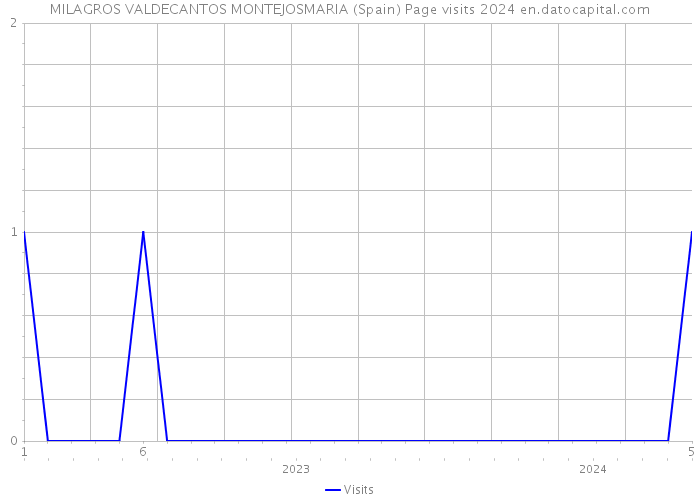 MILAGROS VALDECANTOS MONTEJOSMARIA (Spain) Page visits 2024 
