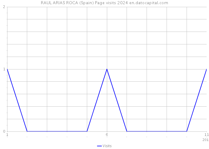 RAUL ARIAS ROCA (Spain) Page visits 2024 