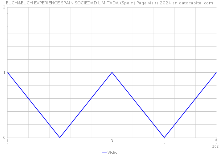 BUCH&BUCH EXPERIENCE SPAIN SOCIEDAD LIMITADA (Spain) Page visits 2024 