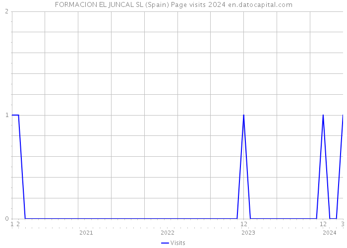 FORMACION EL JUNCAL SL (Spain) Page visits 2024 