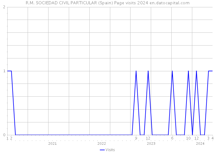 R.M. SOCIEDAD CIVIL PARTICULAR (Spain) Page visits 2024 