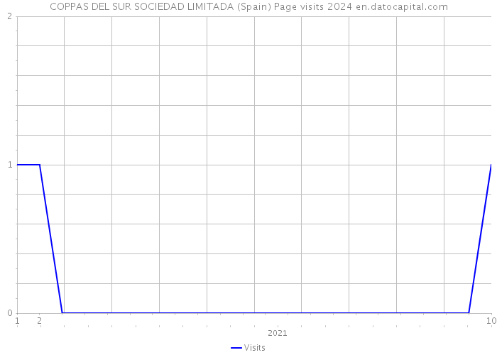 COPPAS DEL SUR SOCIEDAD LIMITADA (Spain) Page visits 2024 