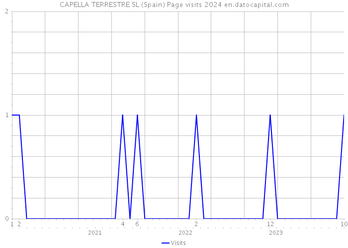CAPELLA TERRESTRE SL (Spain) Page visits 2024 
