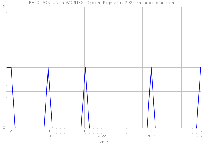RE-OPPORTUNITY WORLD S.L (Spain) Page visits 2024 