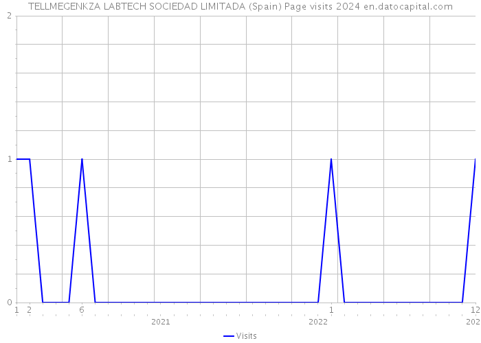 TELLMEGENKZA LABTECH SOCIEDAD LIMITADA (Spain) Page visits 2024 