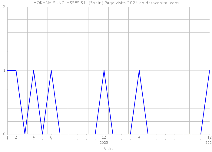 HOKANA SUNGLASSES S.L. (Spain) Page visits 2024 