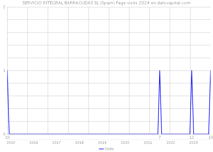 SERVICIO INTEGRAL BARRACUDAS SL (Spain) Page visits 2024 