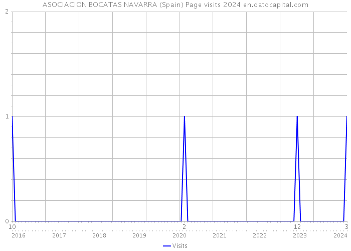 ASOCIACION BOCATAS NAVARRA (Spain) Page visits 2024 