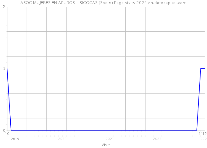 ASOC MUJERES EN APUROS - BICOCAS (Spain) Page visits 2024 