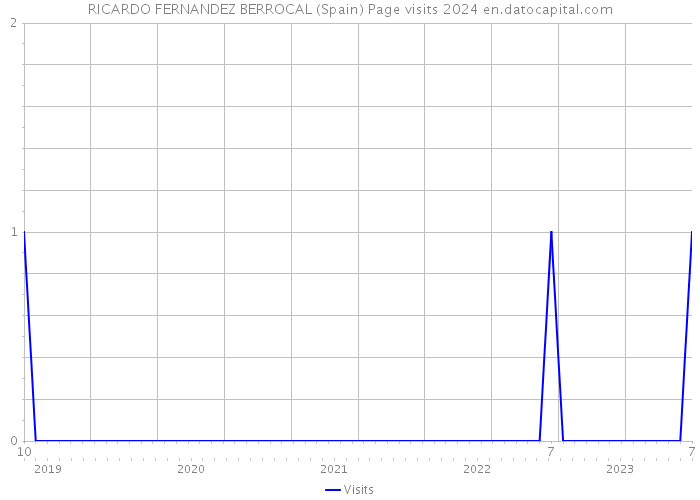 RICARDO FERNANDEZ BERROCAL (Spain) Page visits 2024 