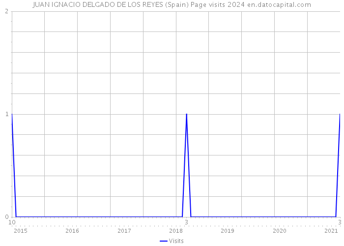JUAN IGNACIO DELGADO DE LOS REYES (Spain) Page visits 2024 