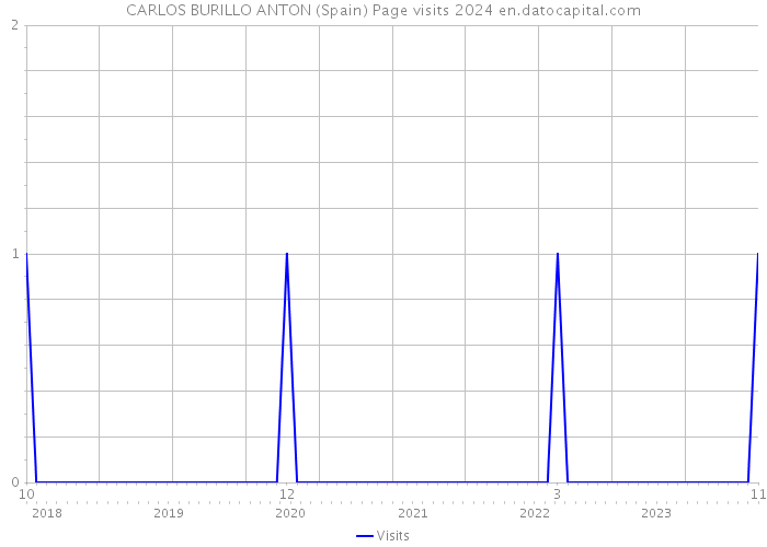 CARLOS BURILLO ANTON (Spain) Page visits 2024 