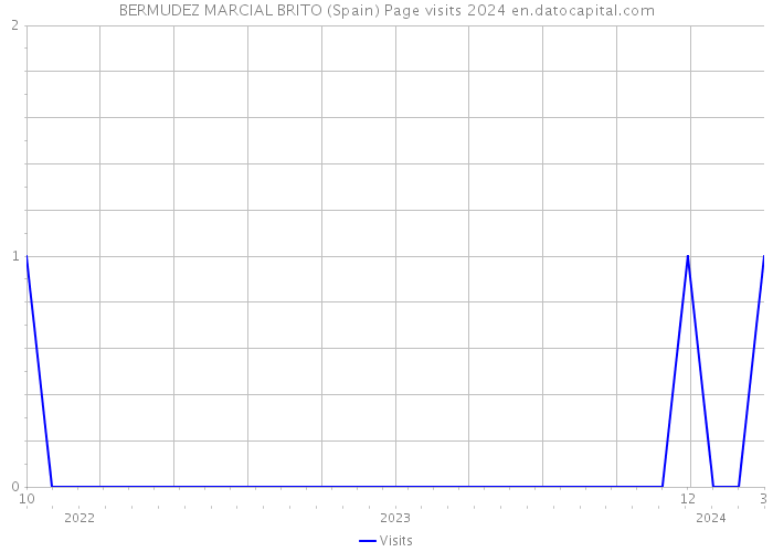 BERMUDEZ MARCIAL BRITO (Spain) Page visits 2024 