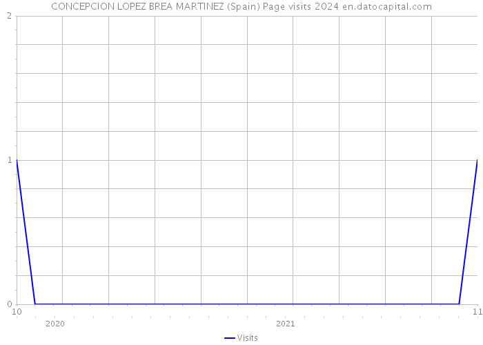 CONCEPCION LOPEZ BREA MARTINEZ (Spain) Page visits 2024 