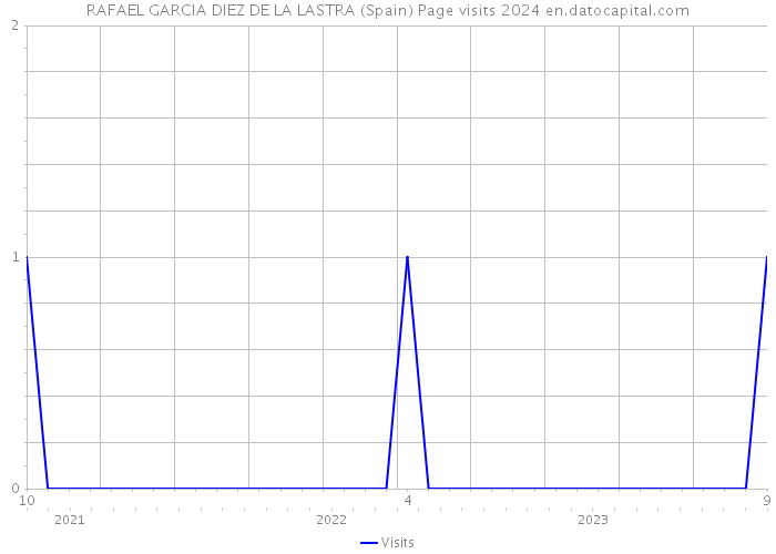 RAFAEL GARCIA DIEZ DE LA LASTRA (Spain) Page visits 2024 