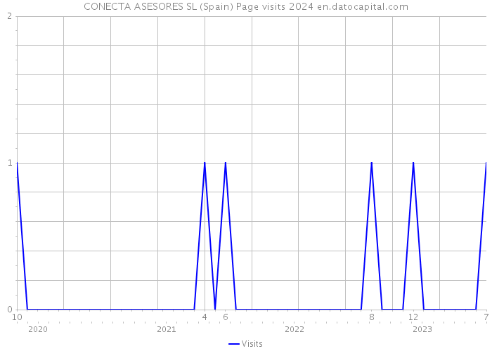 CONECTA ASESORES SL (Spain) Page visits 2024 