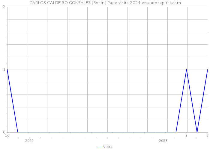 CARLOS CALDEIRO GONZALEZ (Spain) Page visits 2024 
