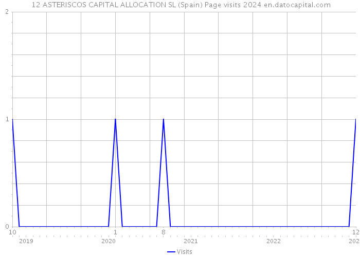  12 ASTERISCOS CAPITAL ALLOCATION SL (Spain) Page visits 2024 
