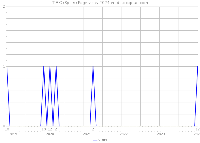 T E C (Spain) Page visits 2024 