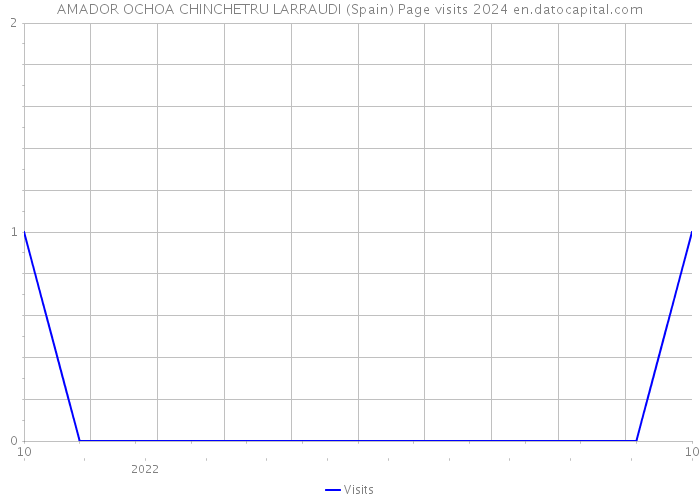 AMADOR OCHOA CHINCHETRU LARRAUDI (Spain) Page visits 2024 