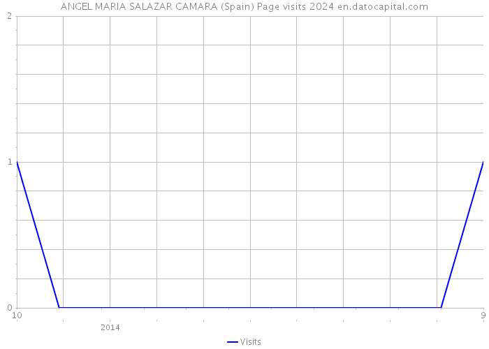 ANGEL MARIA SALAZAR CAMARA (Spain) Page visits 2024 