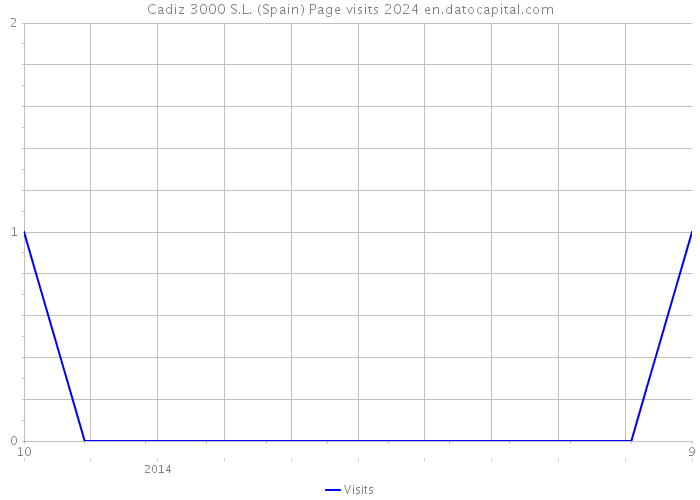 Cadiz 3000 S.L. (Spain) Page visits 2024 
