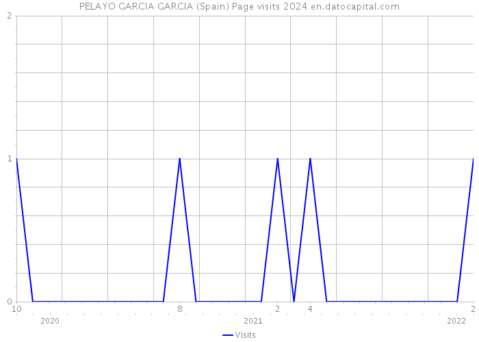PELAYO GARCIA GARCIA (Spain) Page visits 2024 