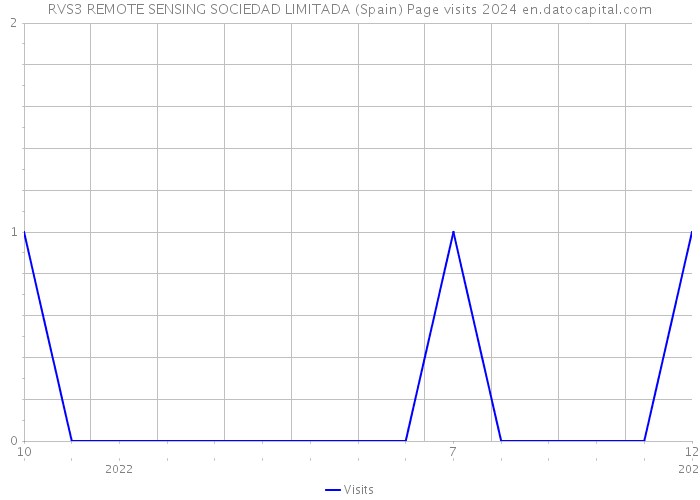 RVS3 REMOTE SENSING SOCIEDAD LIMITADA (Spain) Page visits 2024 