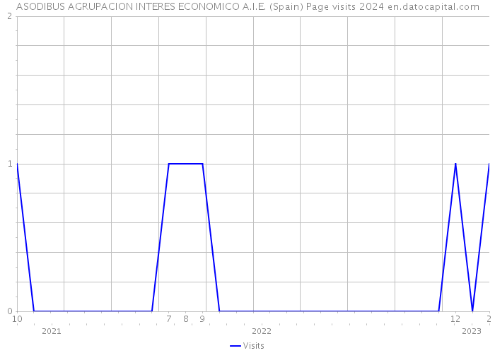 ASODIBUS AGRUPACION INTERES ECONOMICO A.I.E. (Spain) Page visits 2024 