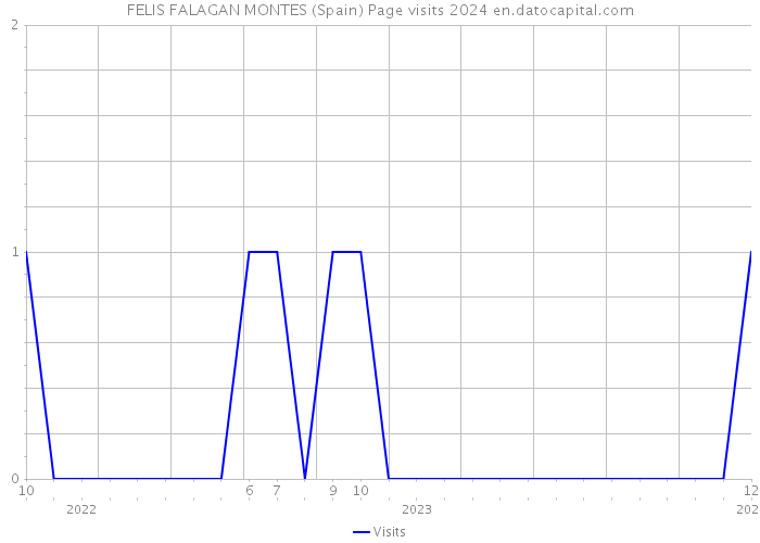 FELIS FALAGAN MONTES (Spain) Page visits 2024 