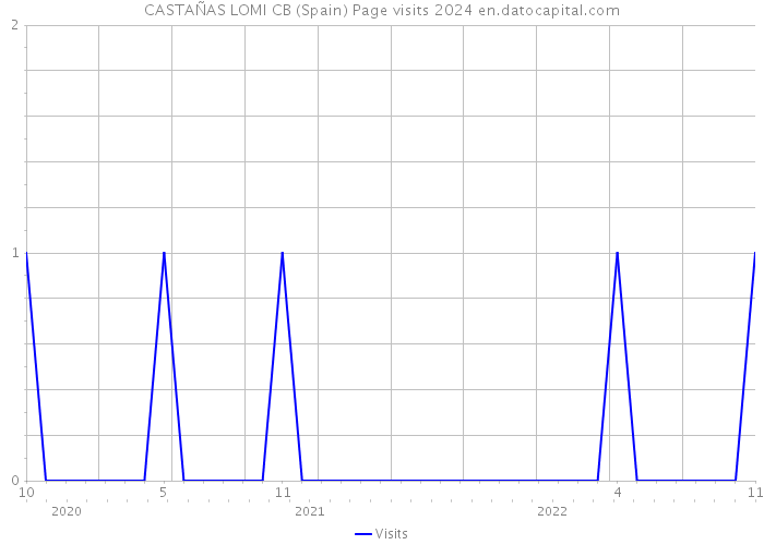 CASTAÑAS LOMI CB (Spain) Page visits 2024 