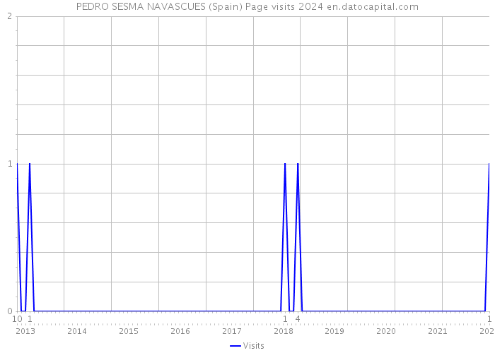 PEDRO SESMA NAVASCUES (Spain) Page visits 2024 