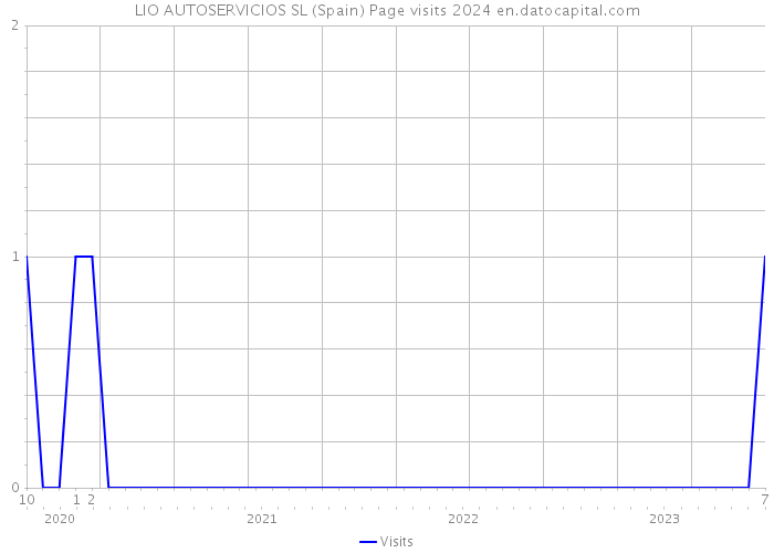 LIO AUTOSERVICIOS SL (Spain) Page visits 2024 