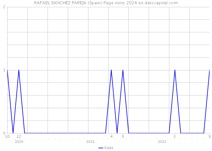RAFAEL SANCHEZ PAREJA (Spain) Page visits 2024 