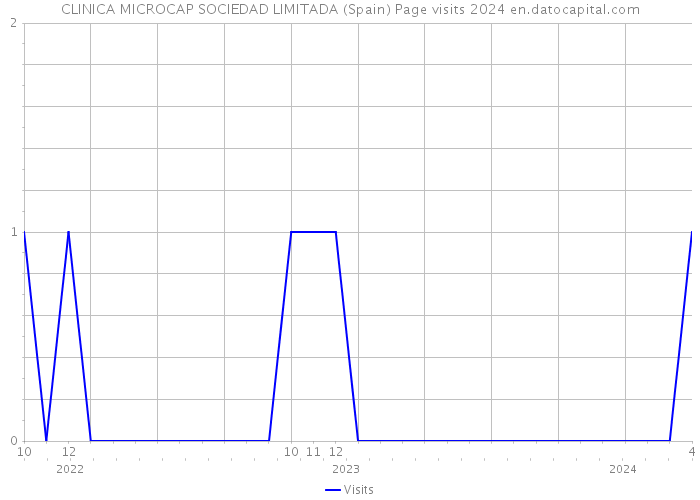 CLINICA MICROCAP SOCIEDAD LIMITADA (Spain) Page visits 2024 